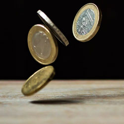 Annual exhibition hall after the New Year