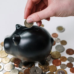 Good business environment and policy support