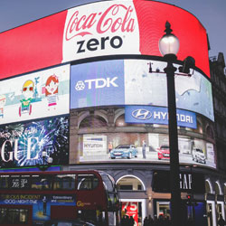 Policy stability, openness and inclusiveness